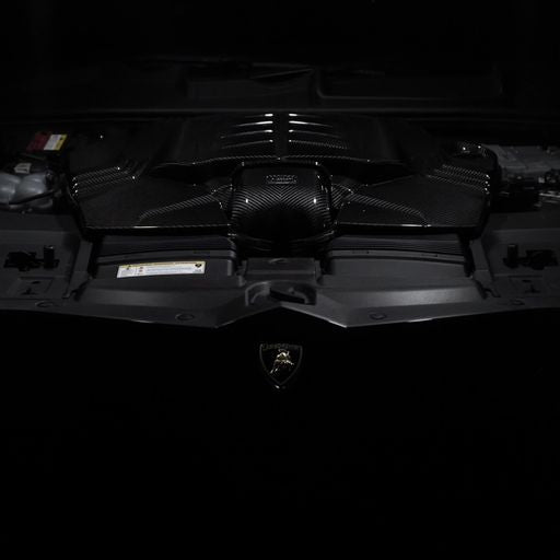 Admisión de carbono Eventuri - Audi RSQ8